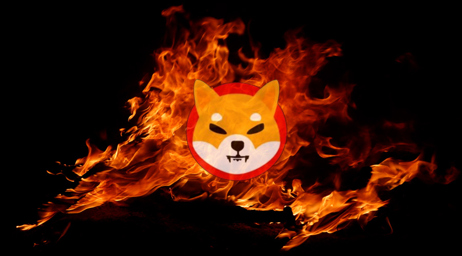 Billions of Shiba Inu Go up in Flames