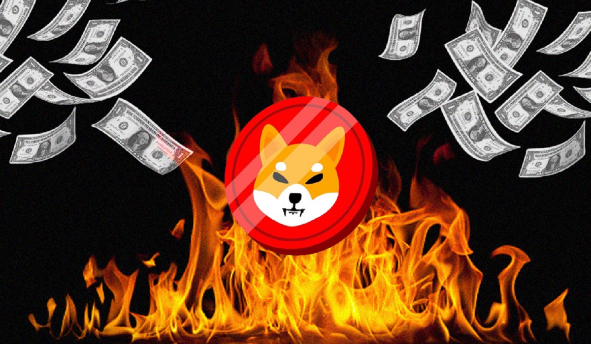 Billions of Shiba Inu Go up in Flames