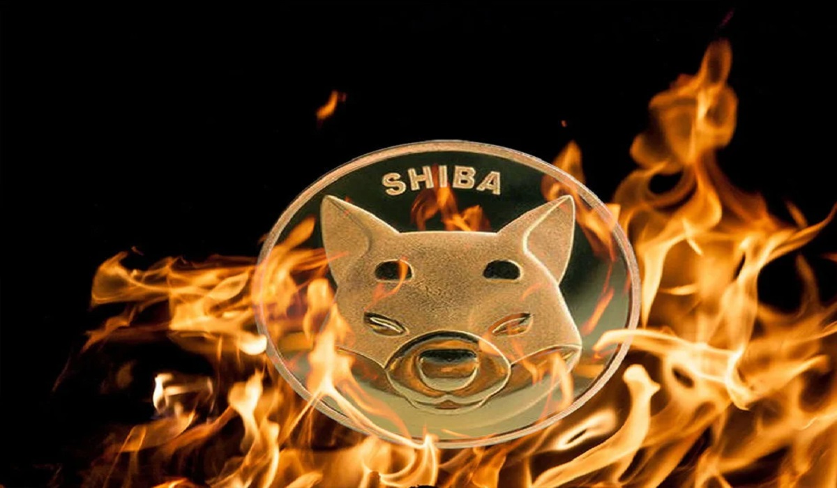 Shiba Inu Burn Machine Has No Effect on 590 Trillion SHIB Supply