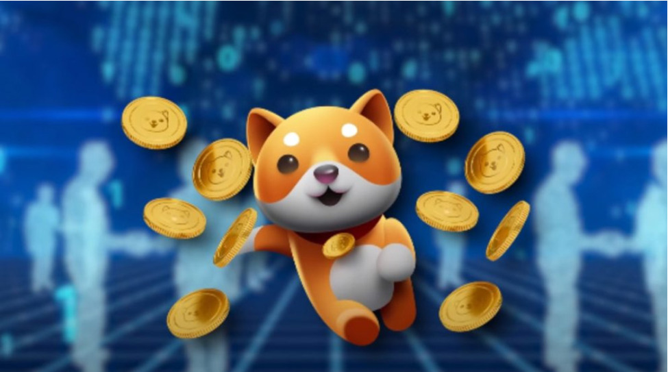 Is Baby Doge Coin Legit?